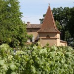 pigeonnier et vigne du château Touny les Roses