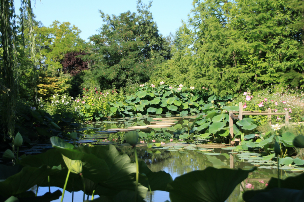 jardins des martels