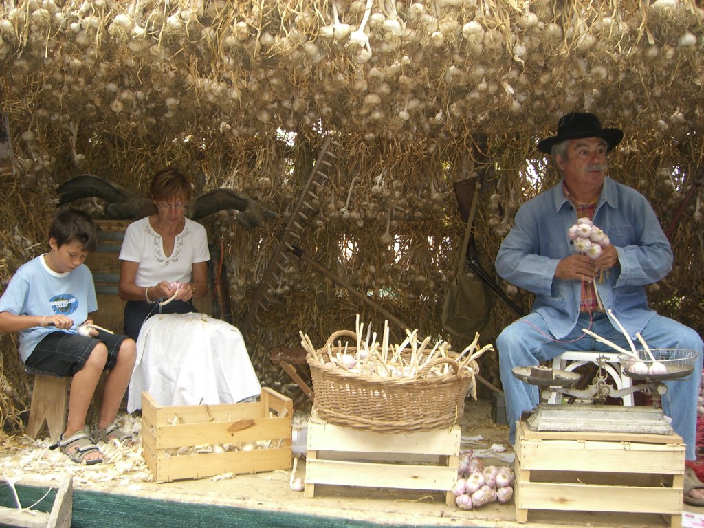 Triage de l'ail lors de la fête de l'ail rose de Lautrec - CC Tourisme Lautrec