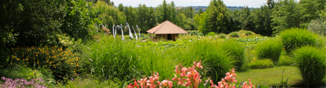 Les jardins des martels, un havre de verdure dans le Tarn