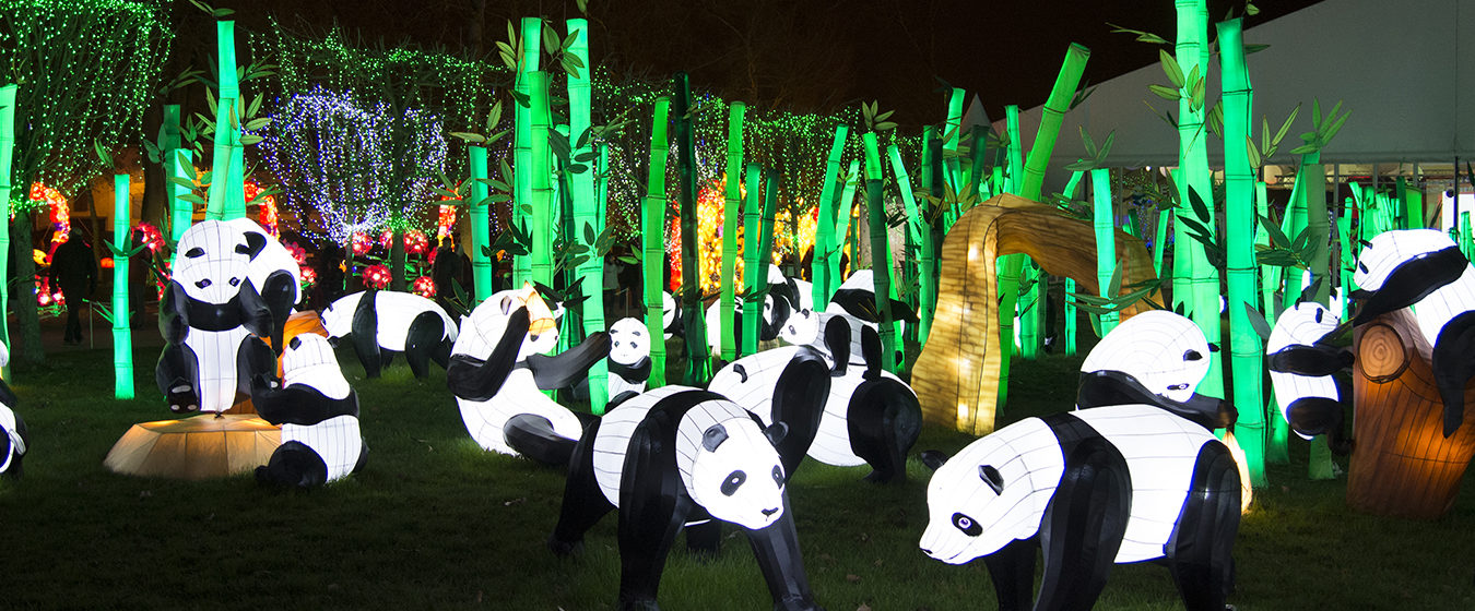 Les lanternes féeriques de Chine se rallument à Gaillac